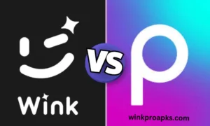 Wink VS Picsart 