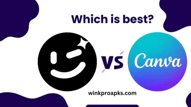 Wink Video Retouching Tool Vs Canva